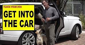 Teach Your Dog to Get into the CAR - Dog Training Video