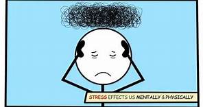 Effects of Stress