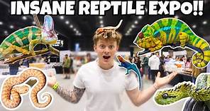 THE LARGEST REPTILE CONVENTION!! **INSANE**