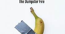 2020: The Dumpster Fire - watch stream online