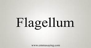 How To Say Flagellum