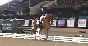 SHELLEY BROWNING DEMONSTRATES BLATANT ABUSE IN A DRESSAGE TEST