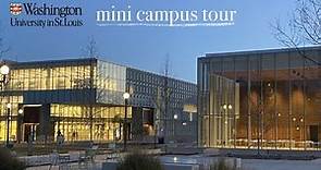 mini campus tour | washington university in st. louis