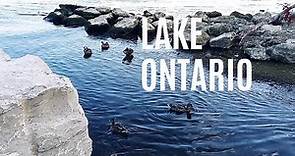 Nature's Haven by Lake Ontario| Serene Park Landscapes, Ducks, and Waterfront Beauty