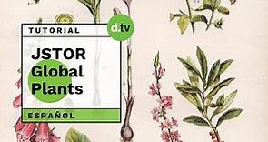 DOTLIB - JSTOR Global Plants (Español) - Tutorial