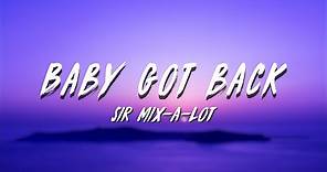 Sir Mix-A-lot - Baby Got Back (Lyrics) (Tiktok) | I wanna get ya home and ugh, double-up, ugh, ugh