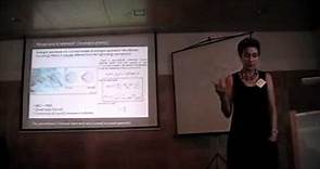 Fotini Markopoulou-Kalamara: "Quantum Gravity", FQXi Azores Conference 2009