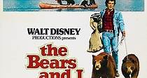 Los osos y yo - película: Ver online en español