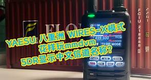 YAESU 八重洲 对讲机 如何通过WIRES-X模式 花样玩mmdvm盒子 串讲答疑。// 5DR能显示中文信道名称？
