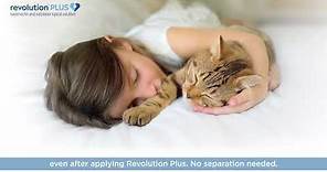 How to Apply REVOLUTION PLUS to Your Cat