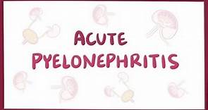 Acute pyelonephritis (urinary tract infection) - causes, symptoms & pathology