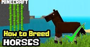 MINECRAFT | How to BREED HORSES!