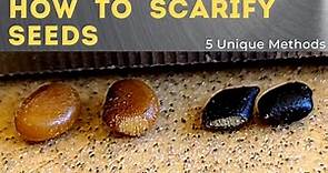 5 Ways to Scarify Seeds - Seed Scarification 101