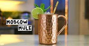 Moscow Mule - Tipsy Bartender