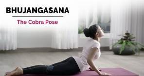 Bhujangasana | Cobra Yoga Pose | Steps | Benefits | Yogic Fitness