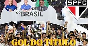 São Paulo Campeão da Copa do Brasil!! Narrações do Gol do Título Rodrigo Nestor #futebol #spfc