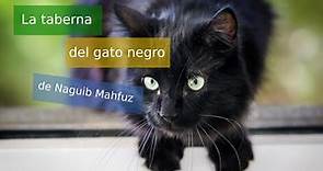 La taberna del gato negro, de Naguib Mahfuz - Audiolibro
