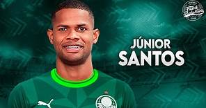 Júnior Santos ► Bem vindo ao Palmeiras ? ● 2024 | HD