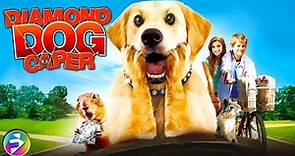 DIAMOND DOG CAPER - FULL MOVIE | Family Adventure Dog Movie