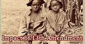 History Brief: The Impact of the 13th Amendment