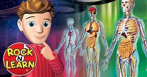 Human Body - Science for Kids - Rock 'N Learn