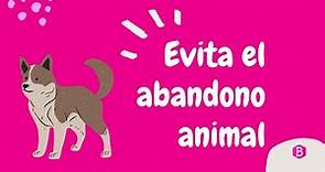 Cómo EVITAR el ABANDONO ANIMAL 🐶