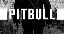 Pitbull: Fuerza Bruta - película: Ver online en español