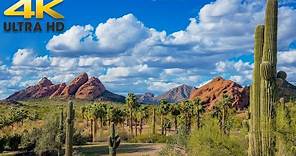 Phoenix to Tucson Complete Arizona Scenic Drive 4K