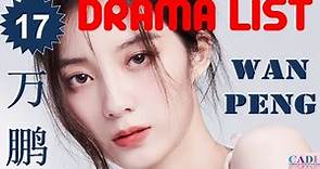万鹏 Wan Peng | Drama List | Wan Peng 's all 17 dramas | CADL