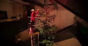 Trimming the Pink Martini Christmas Tree with Thomas Lauderdale