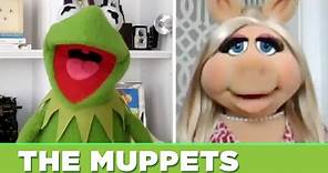 The Muppets Find Out Which Muppet They Really Are