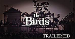 The birds trailer
