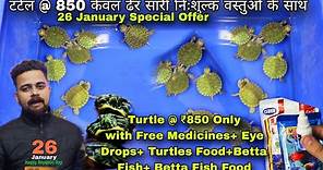 Turtles Special Offer ₹850 only With lots of Free Accessories| 1 Piece also delivery All over India
