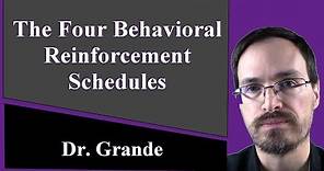 The Four Schedules of Reinforcement in Behaviorism