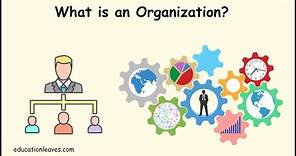 What is an Organization? | Elements, Process, importance of Organization
