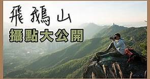 飛鵝山秘位大公開！被譽為價值千萬的風景？ #攝影點 #山系 #香港