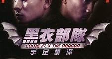 Where to stream Come Fly the Dragon (1993) online? Comparing 50  Streaming Services