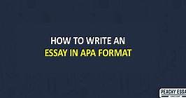 How To Write an Essay in APA Format - Complete Guide with Examples