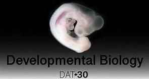 Developmental Biology: Intro to Developmental Biology