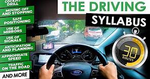 Learn The Driving Basics in 30 Minutes - The Driving Syllabus | Updated 2023