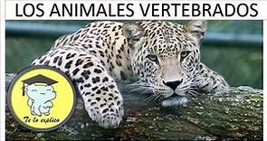 LOS ANIMALES VERTEBRADOS 2021