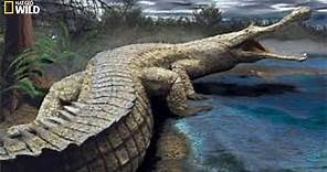 National Geographic I Super Giant Crocodile I Documentary