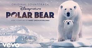 Harry Gregson-Williams - We Are Ice Bears (From "Disneynature: Polar Bear"/Audio Only)