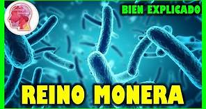 ✅ EL REINO MONERA clasificación, bacterias, biologia ✅ 👉BIEN EXPLICADO👈