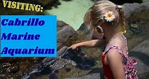 Visiting Cabrillo Marine Aquarium | San Pedro, CA