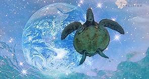 The Spiritual Meaning Of A Turtle And It's Sacred Symbolism