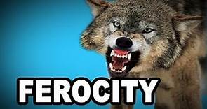 Learn English Words: FEROCITY - Meaning, Vocabulary with Pictures and Examples