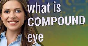Compound eye | meaning of Compound eye
