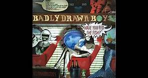 Badly Drawn Boy - How?