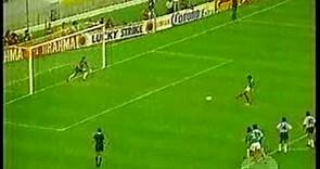 MEXICO VS ARGENTINA FINAL COPA AMERICA 1993
